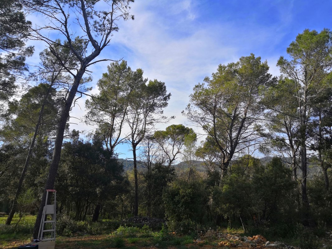 Yourte en Provence & piscine à Besse Sur Issole (42)