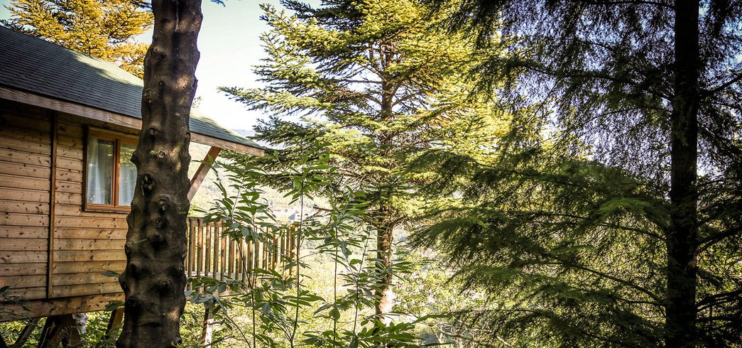 Hébergement AbracadaRoom : Cabane Séquoïa - Image 4
