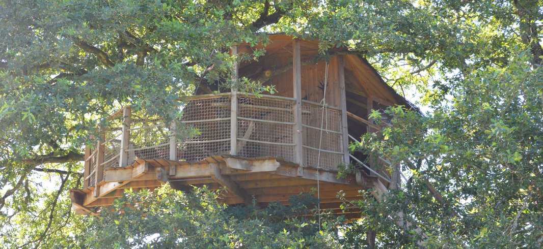 Hébergement AbracadaRoom : Cabane Girsberg - Image 4