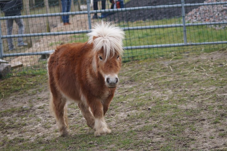 Domaine AbracadaRoom : Ferme du Moulin de Bois - Image 12