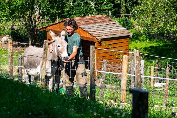 Domaine AbracadaRoom : Ferme Jean des Houx - Image 3