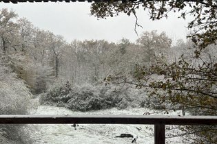 Suite « T(h)rees » & Spa