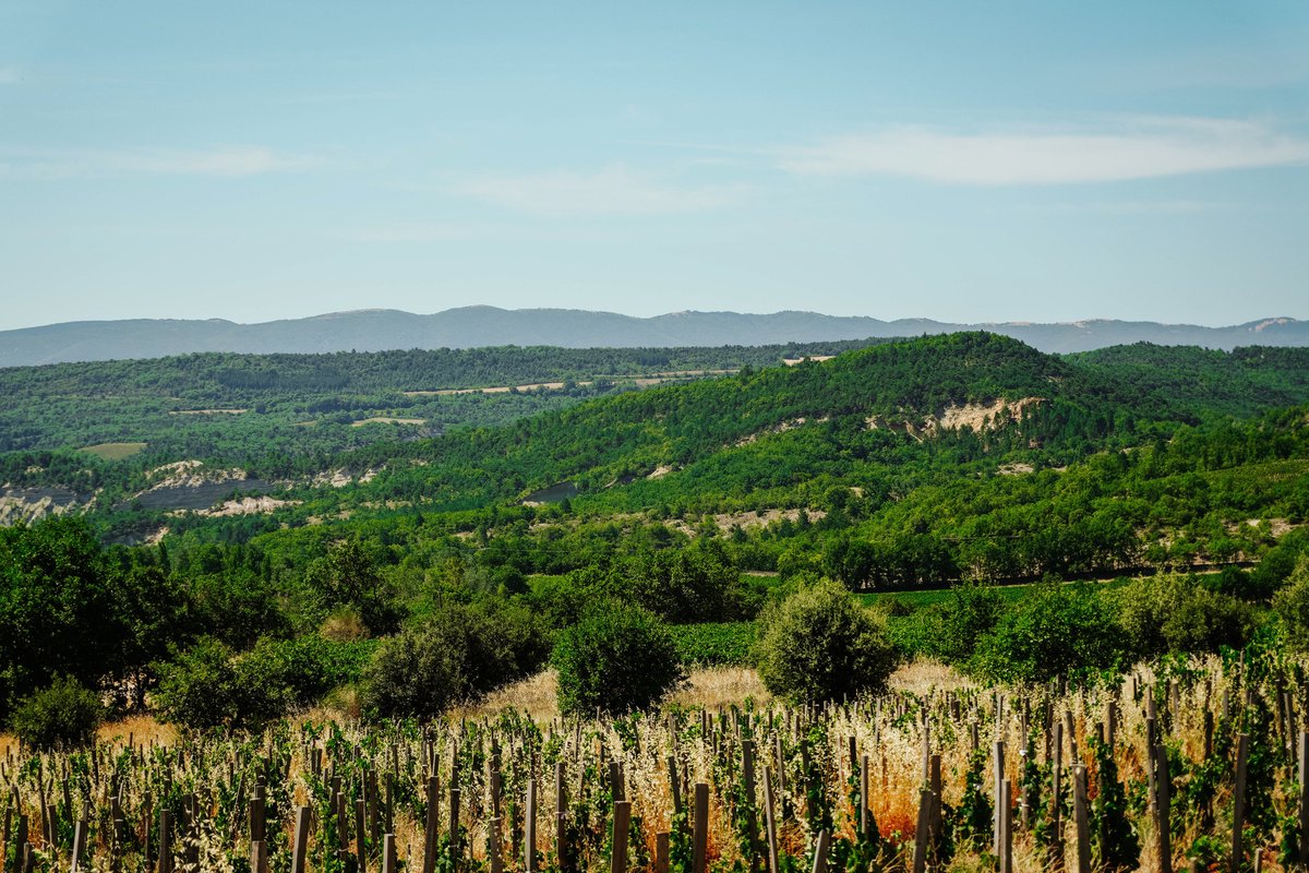 Homnest - Infusion Provençale - Lisière & Ocres à Viens (25)