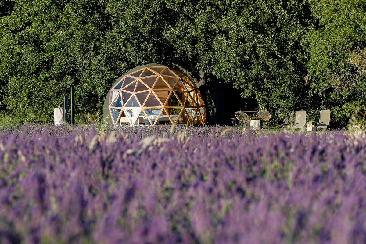 La Bulle du Lavandin à Aix-En-Provence (1)