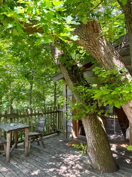 Hébergement AbracadaRoom : Cabane Secrète - Image 4