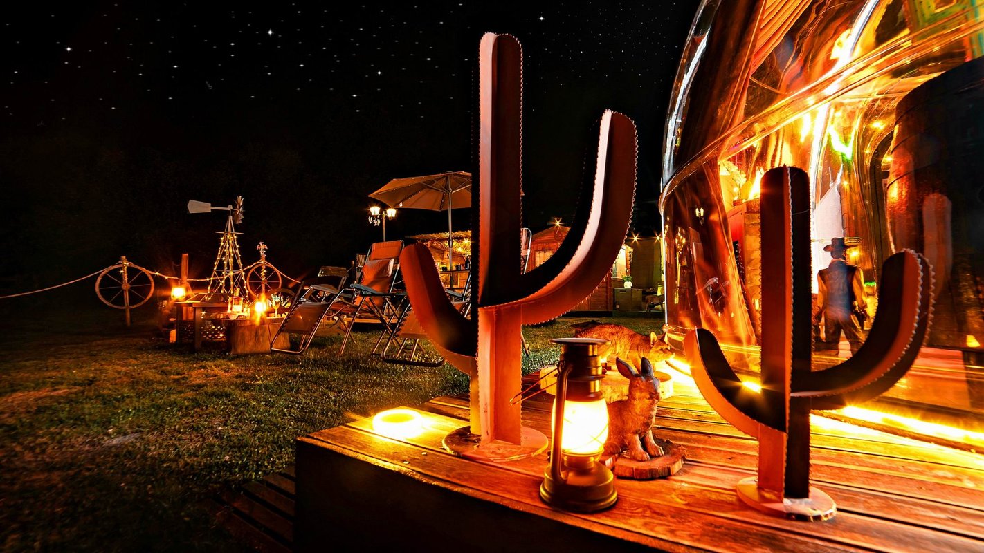 Bulle Texas – Luxe  & SPA – Vue Lac Aiguebelette à Novalaise (24)