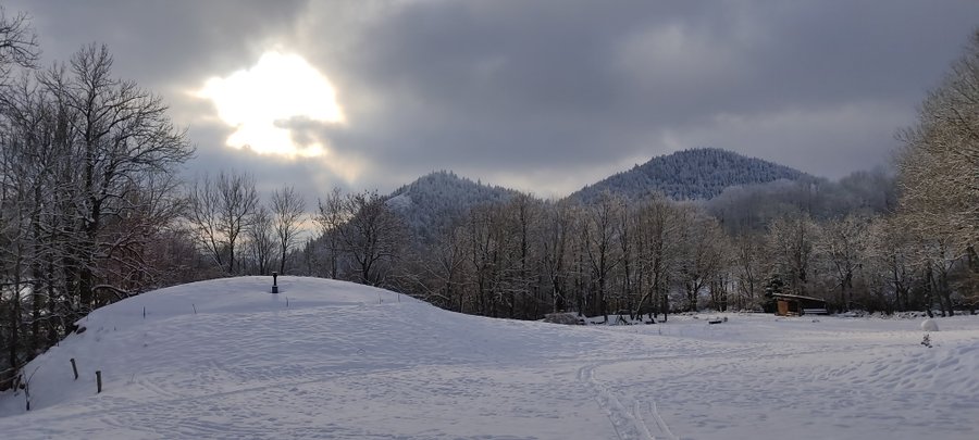 Hébergement AbracadaRoom : La Bulle d'Eau : écolodge au milieu des volcans avec Spa privatif - Image 18