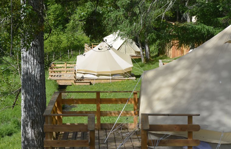 Hébergement AbracadaRoom : A l'ombre des chênes - Image 1