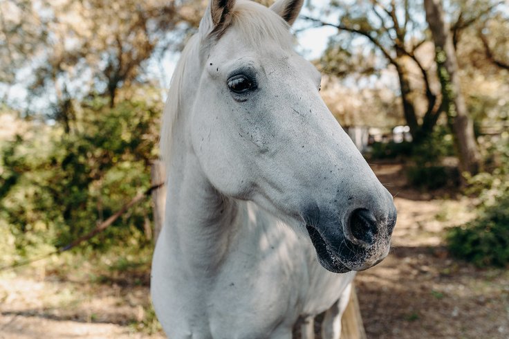 Domaine AbracadaRoom : Domaine de Biar - Image 36