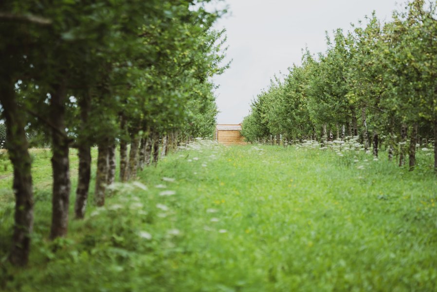 Domaine AbracadaRoom : Sacrée Cabane - Image 3