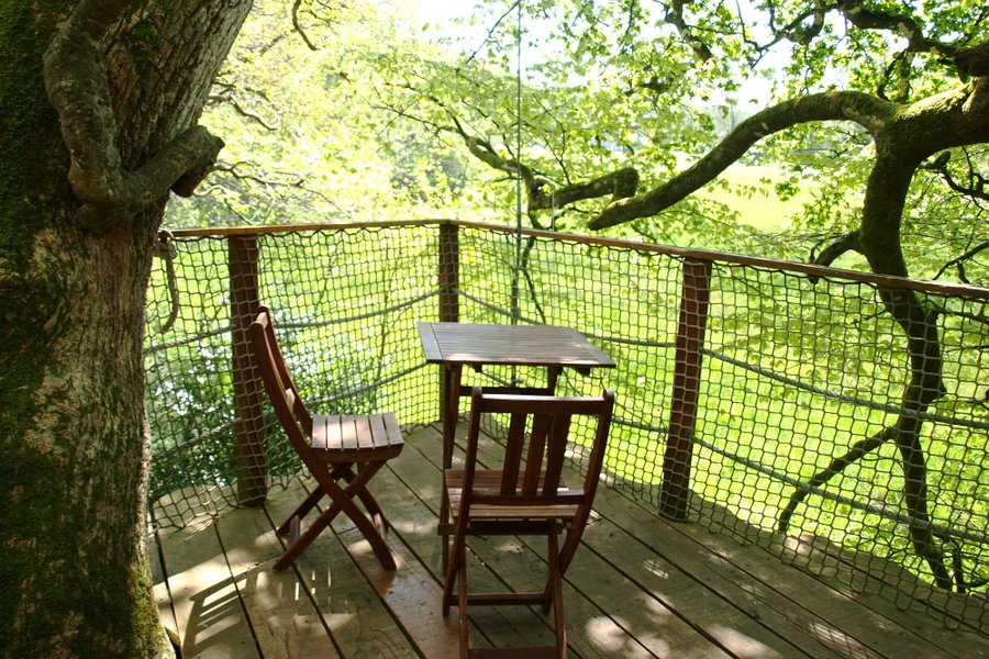 Cabane Jonquille — photo 2