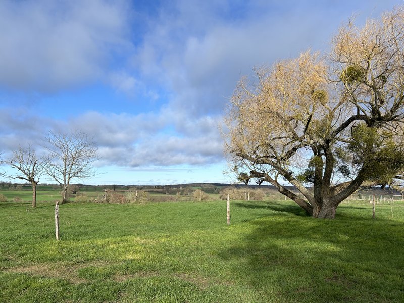 Domaine AbracadaRoom : Marigny Tiny - Image 1