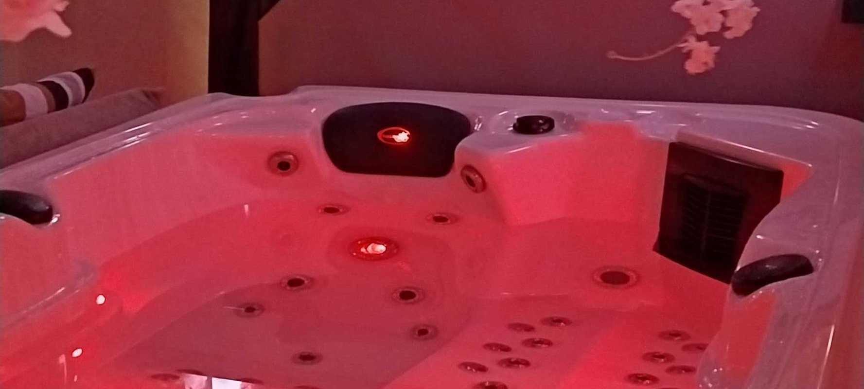 "M"ANON-Dôme Géodésique, piscine, spa et sauna. à Malves En Minervois (15)