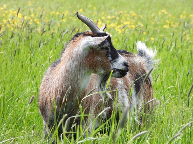 Domaine AbracadaRoom : Les 2 Granges - Image 14