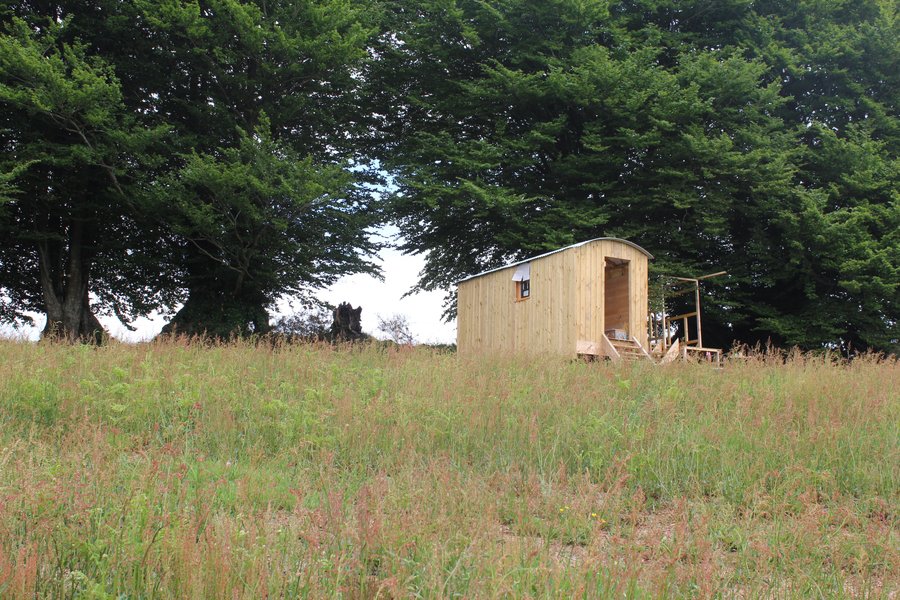 exterieur_frene_green_tree_glamping