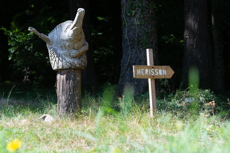 Hébergement AbracadaRoom : Cabane Hérisson - Image 17