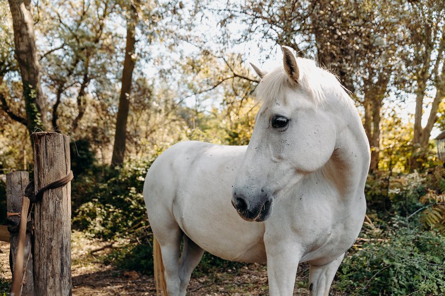 Domaine AbracadaRoom : Domaine de Biar - Image 39