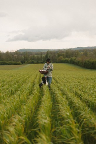 Domaine AbracadaRoom : Parcel Tiny House - dans un verger en Lorraine - Image 8