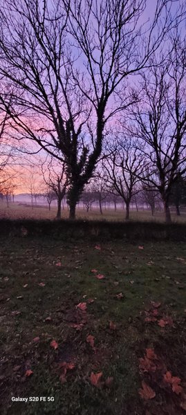 Hébergement AbracadaRoom : La tente sous les étoiles - Image 3