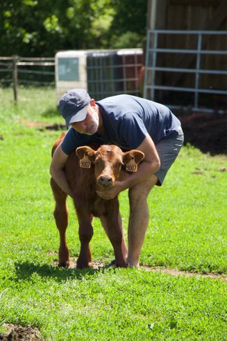 Domaine AbracadaRoom : Les Jardins de Coët-Kra - Image 5