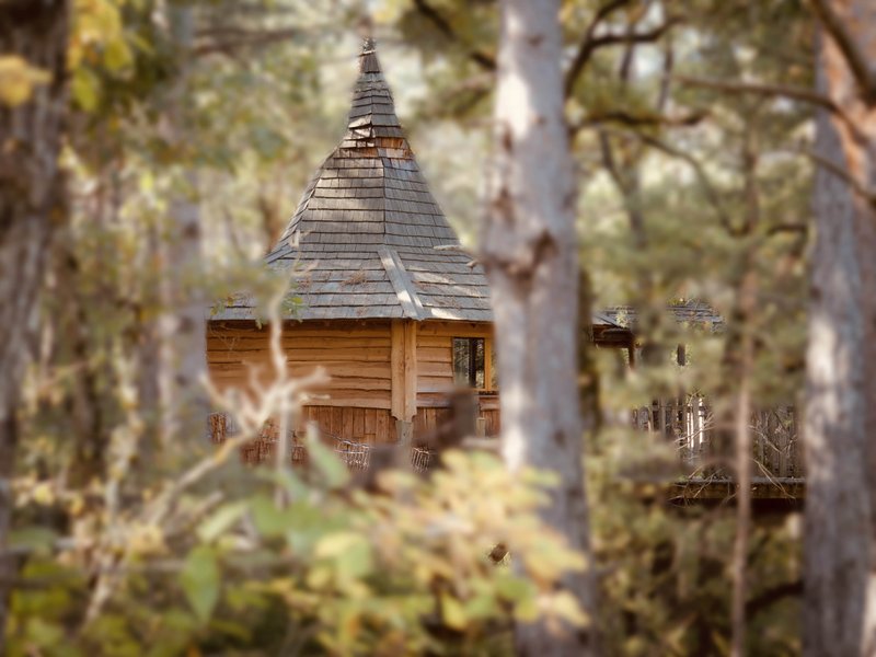 Hébergement AbracadaRoom : Aristoloche & Spa - Image 8