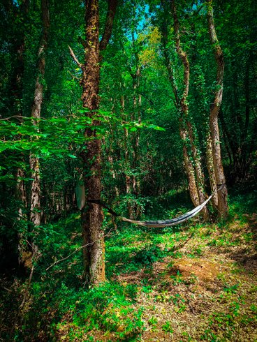 Hébergement AbracadaRoom : Gîte dans les bois, au coeur du Périgord noir avec étang privé - Image 11