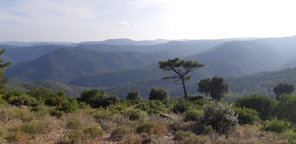 Domaine AbracadaRoom : La ferme Blandine agriculture biologique - Image 26