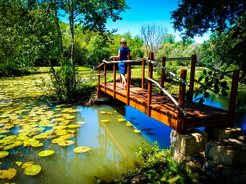 Domaine AbracadaRoom : Ô Clos d'Allas - Image 4