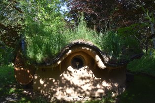 The International Love-Shack Camp