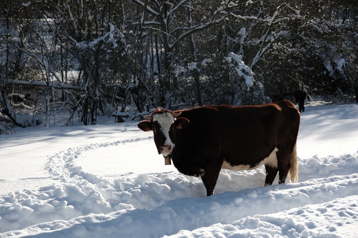 Domaine AbracadaRoom : Homnest (Escouloubre) - Image 11