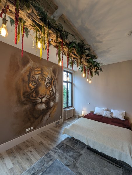 Hébergement AbracadaRoom : Chambre "Rêve de Tigre" - Image 6