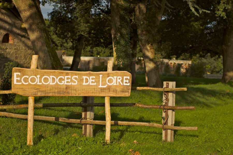 Hébergement AbracadaRoom : L'Ornitho - Image 9