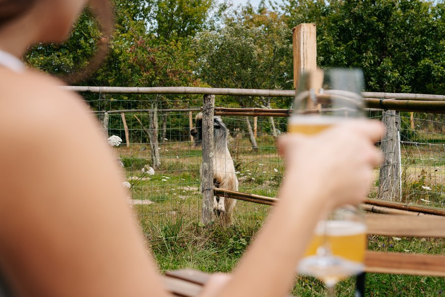 Hébergement AbracadaRoom : Escapade Châtelaine- à 1h20 de Lyon - Image 45