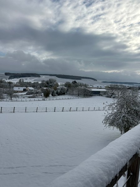 Domaine AbracadaRoom : Nuit's Féerique en Champagne - Image 19