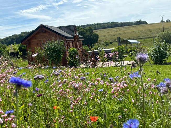 Hébergement AbracadaRoom : La petite Bicolia & Spa - Image 2