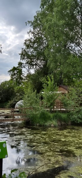 Hébergement AbracadaRoom : La tête dans les étoiles - Image 23