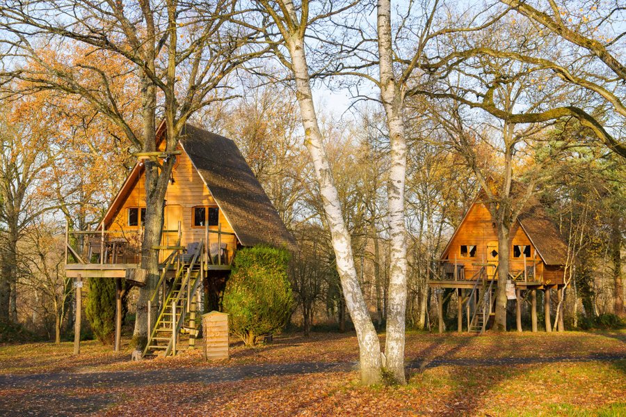 Domaine AbracadaRoom : LE NID DANS LES BRUYERES - Image 4