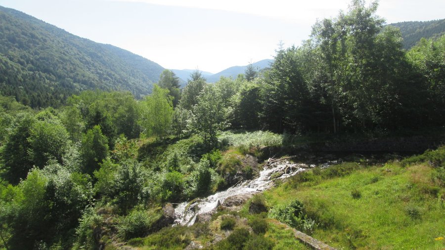 Domaine AbracadaRoom : Camping "Les Rives de la Doller" - Image 2