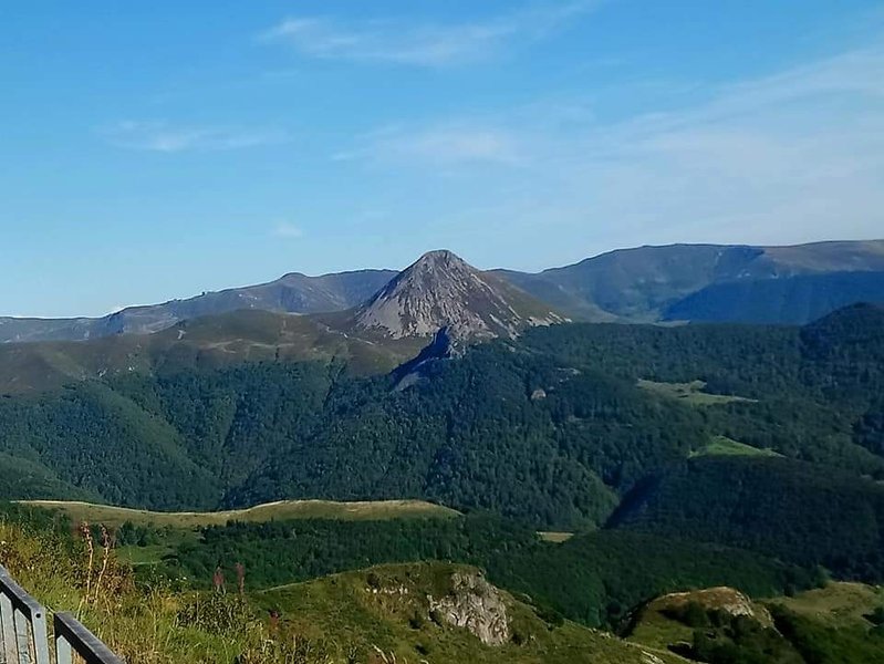 Hébergement AbracadaRoom : La Roulotte  Romantique du P'tit Buron - Image 20