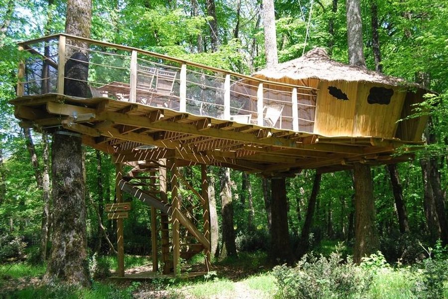 Cabane des Chimpanzés — photo 2