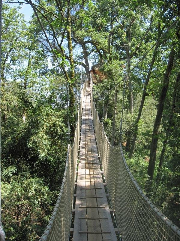 pont-buis-cabane-belle