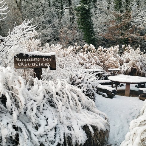 Domaine AbracadaRoom : Ô Pays des bois - Image 14