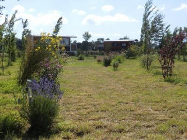 Domaine AbracadaRoom : Ferme de l'Autruche Drômoise - Image 5