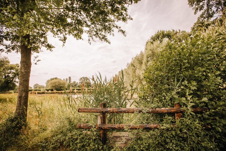 Domaine AbracadaRoom : La Chouette Cabane - Image 2