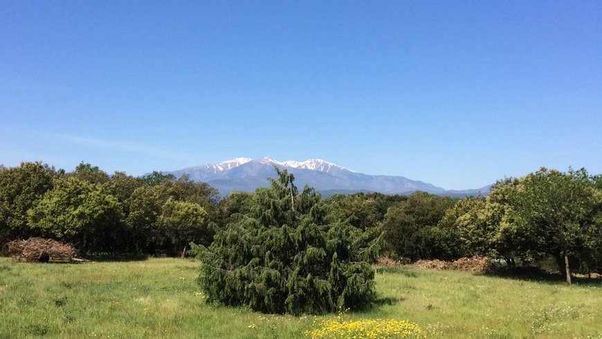 Domaine AbracadaRoom : Le Mas Cabanids - Image 3