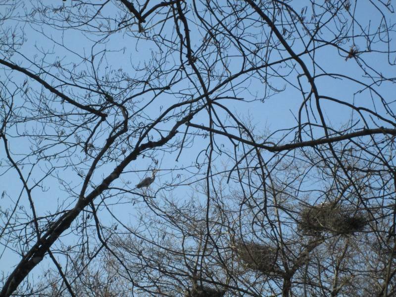 Domaine AbracadaRoom : Fuste des Garceaux - Image 9