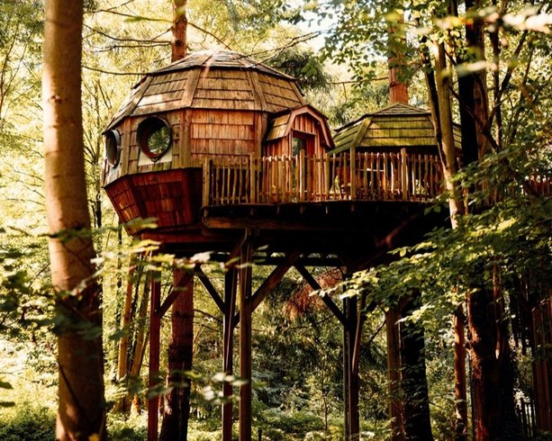 Domaine AbracadaRoom : Cabanes des Grands Chênes - Image 3