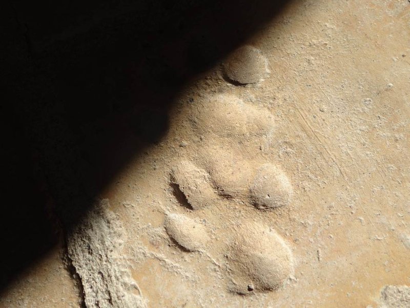 Hébergement AbracadaRoom : La Cabane en Pierre - Image 7