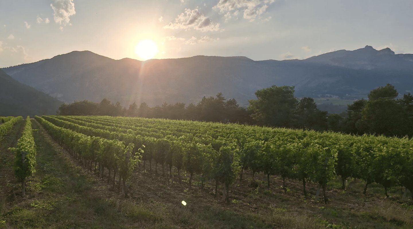 ※ Homnest ※ Cirque des Géants ※ Vignoble à 20 min de Die à Aurel (12)