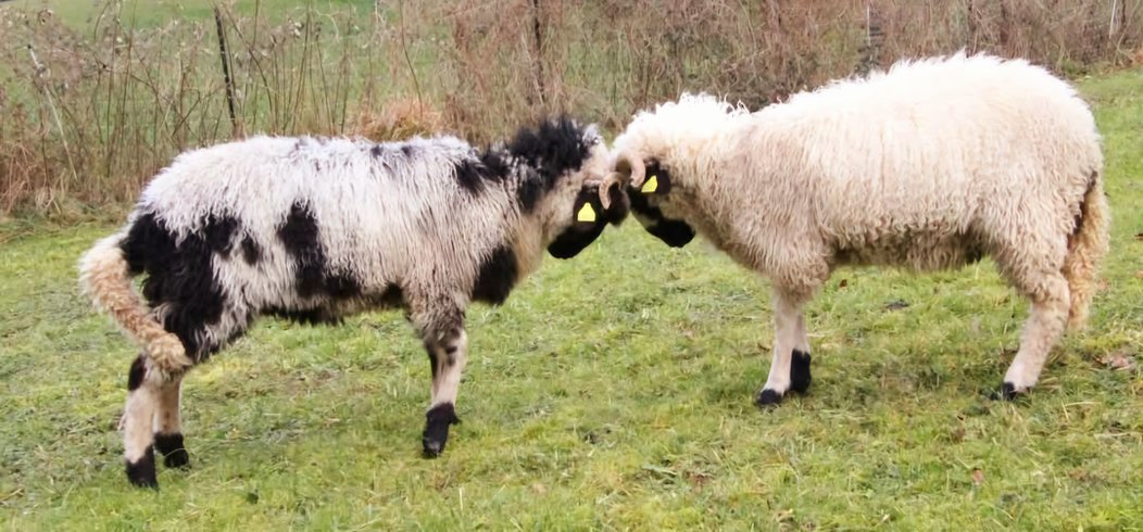 Hébergement AbracadaRoom : Suite d'Exception - Spa & Sauna - Image 23